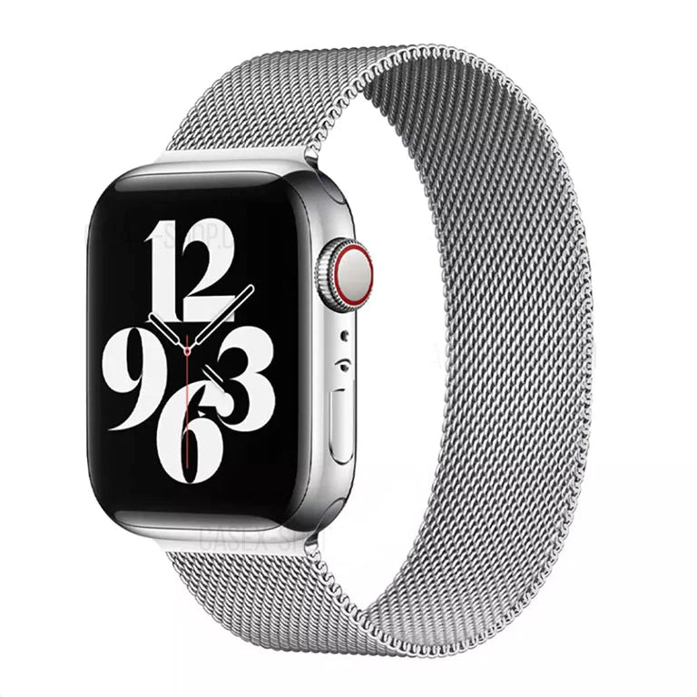 Milanese Metallic Band